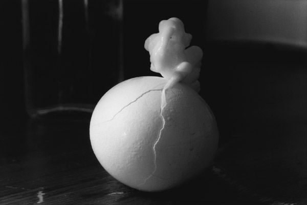 Egg