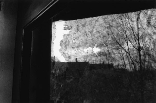 Screen