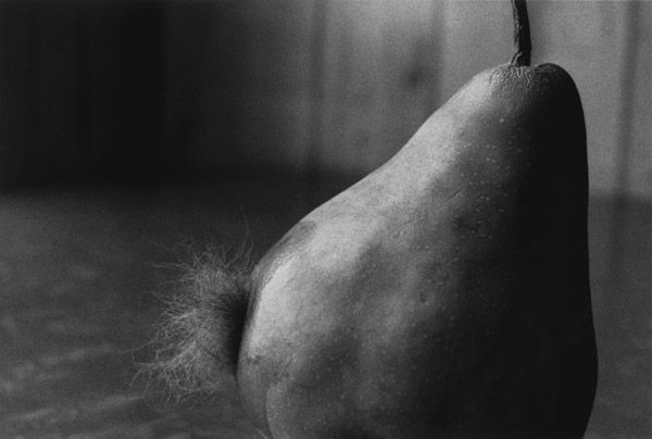 Pubic Pear