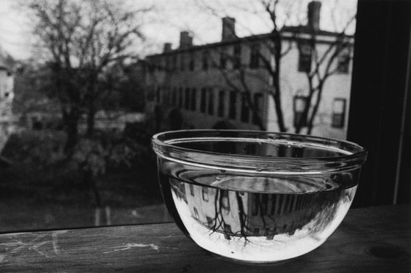 Water Bowl